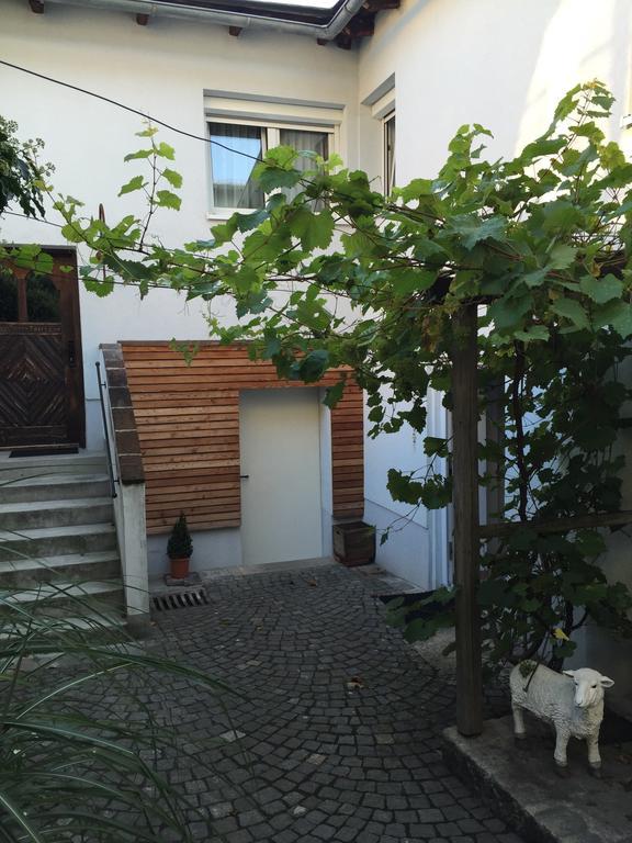 Haslach an der Mühl Pension Sunnseitn - Gasthof - Cafe - Weinkeller מראה חיצוני תמונה
